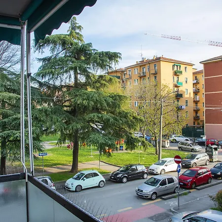 Housmart Cimabue 1